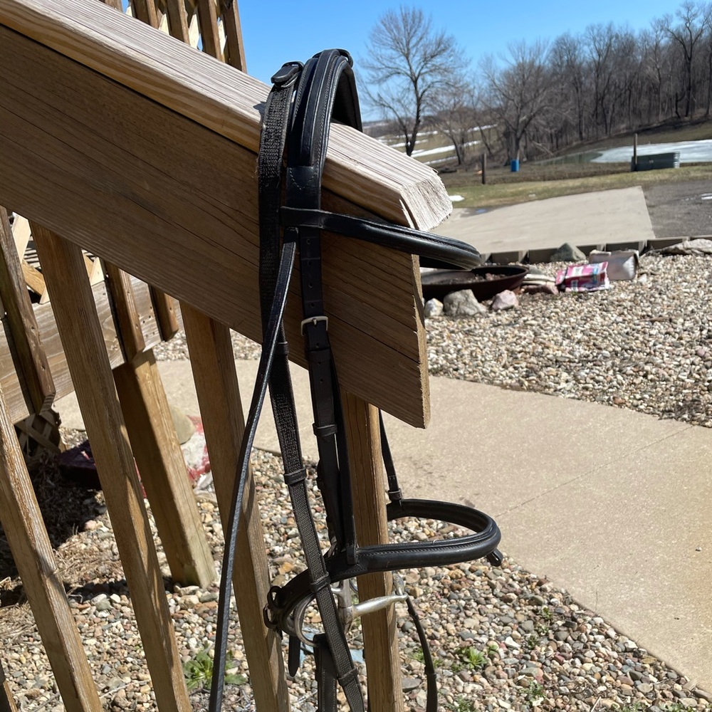 Harwich English bridle